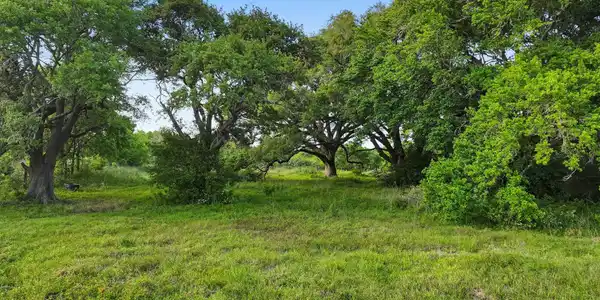 2187 Old Mexico Road