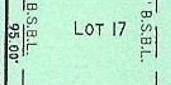 1329 Tracy's Way