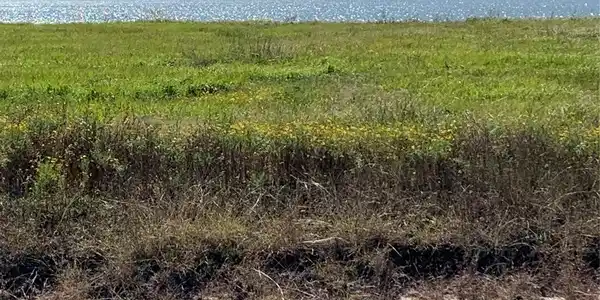 Lot 32 Fivemile Trail