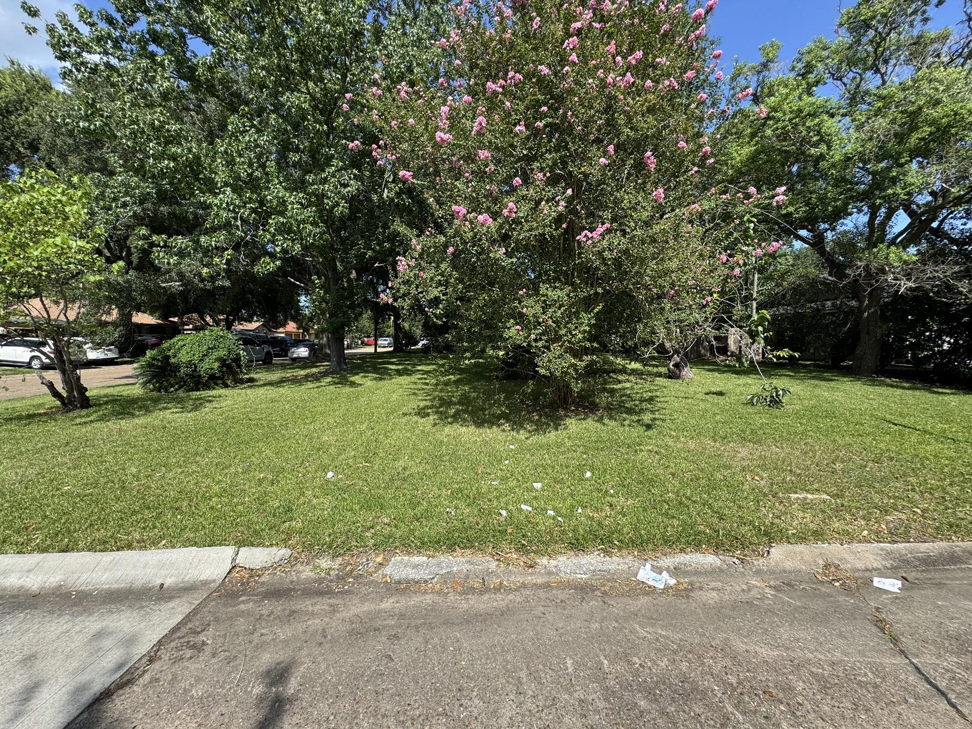 Image 2: View from Lorraine st