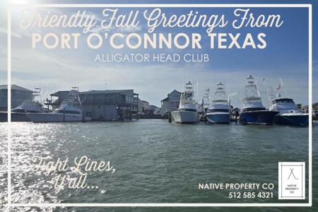 2 Alligator Head Lane