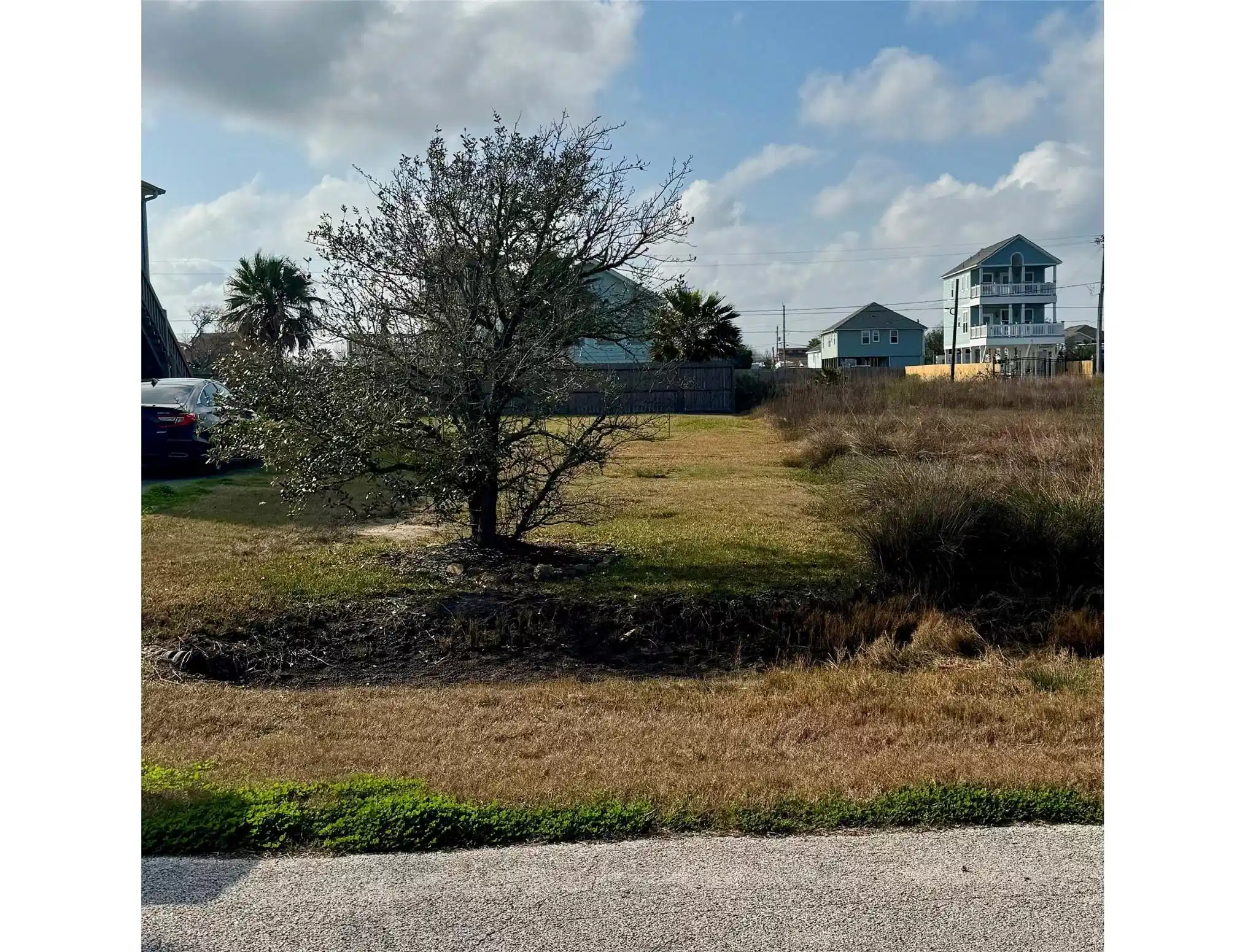 Image 1: This photo shows a grassy vacant lot with a lone t