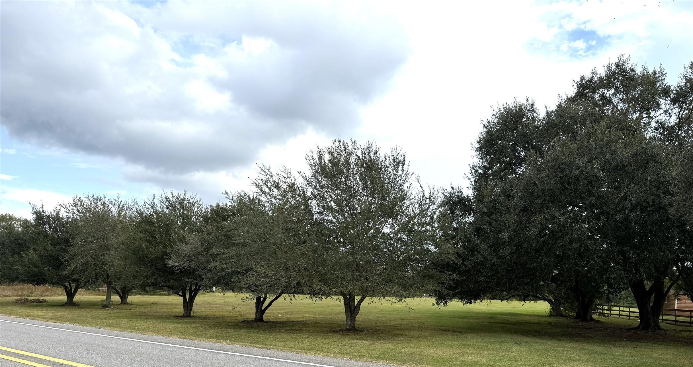 Image 4: Beautiful oak trees line the front and partially u