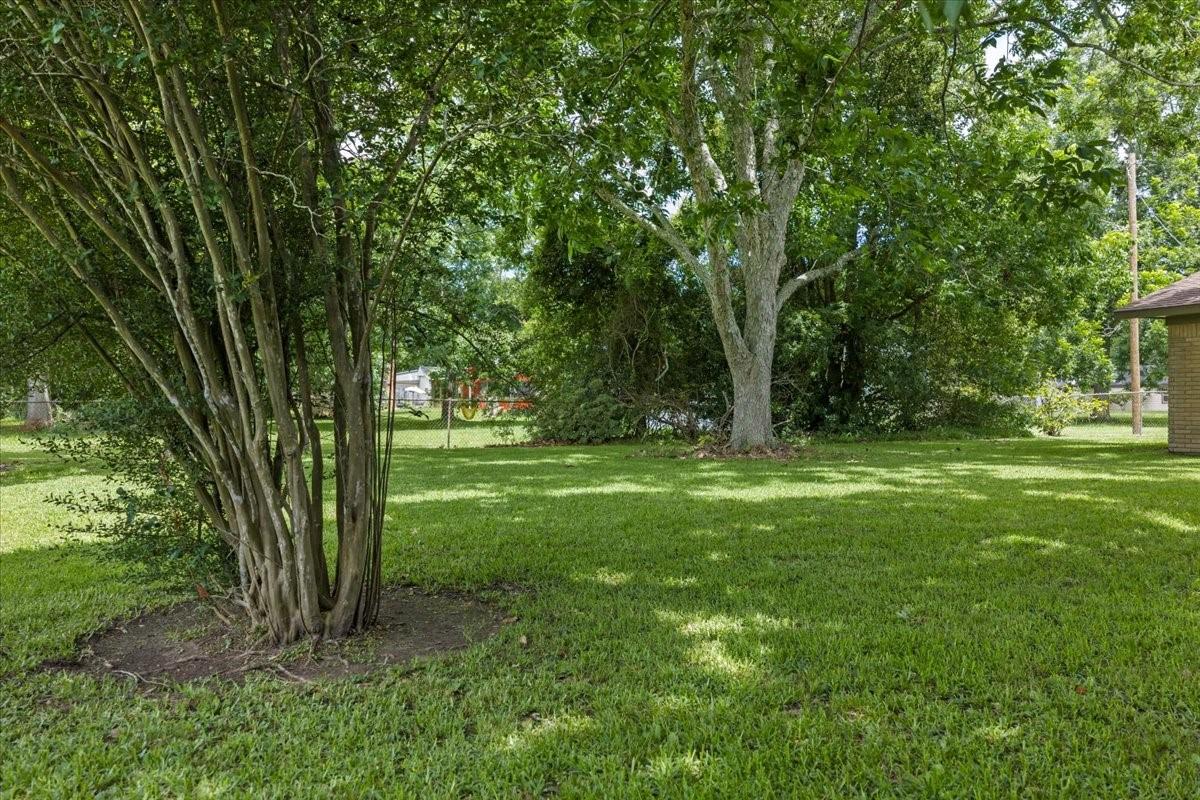 Image 3: Back yard