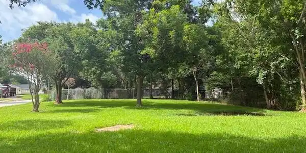 Image 2: Picture taken from the alley looking south.