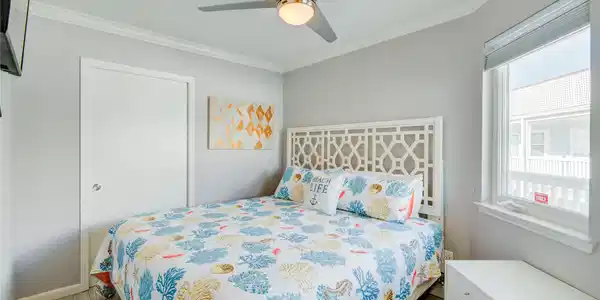 Image 4: Bedroom is bright and inviting, featuring a large