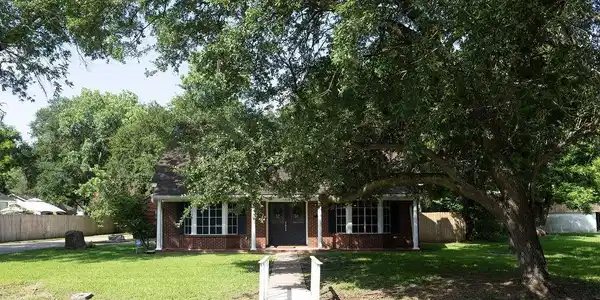Image 4: Take a look at this stunning front yard! Towering