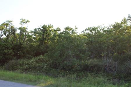 0000 18 street san leon