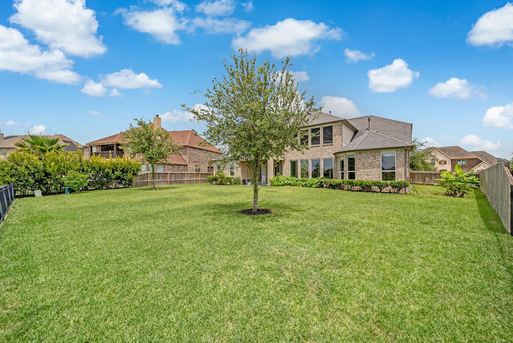 Image 4: Back Yard