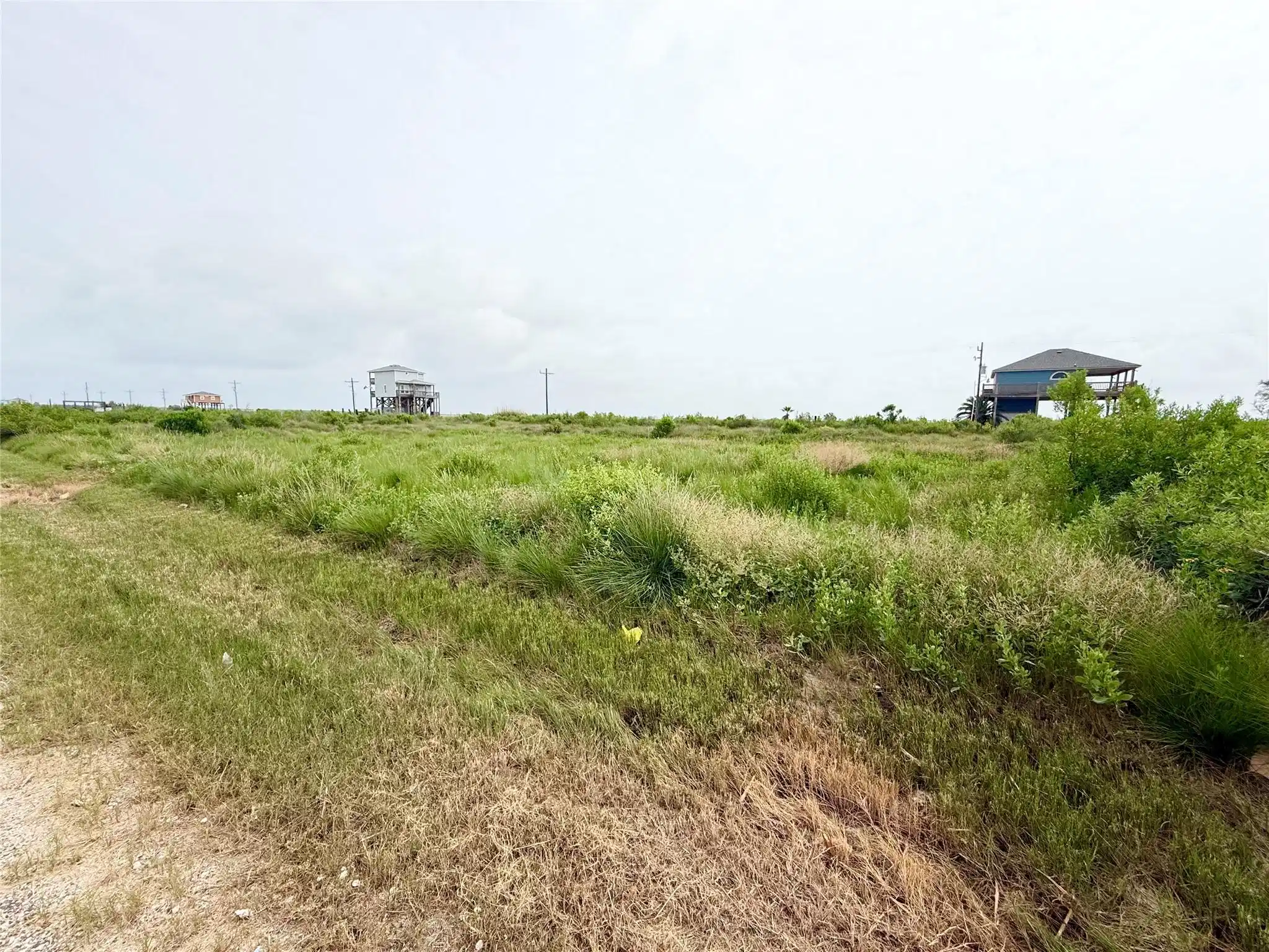 Image 1: Expansive open lot with lush greenery, perfect for