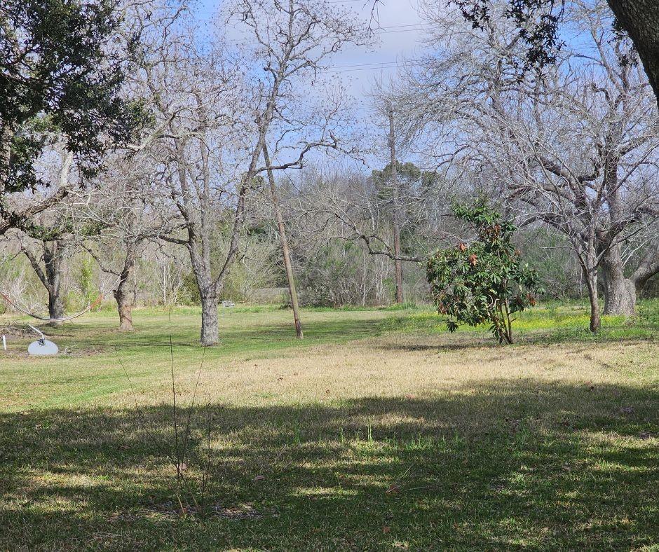 Image 3: Partially clear