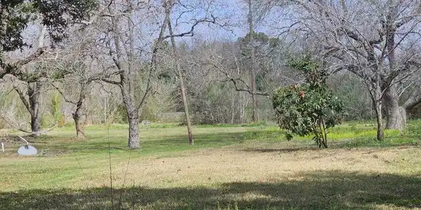 Image 3: Partially clear