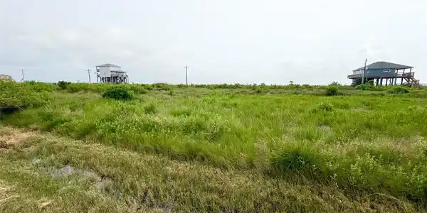 Image 3: Expansive grassy lot with potential for developmen
