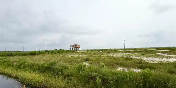 Image 4: Expansive open land with lush greenery and a dista