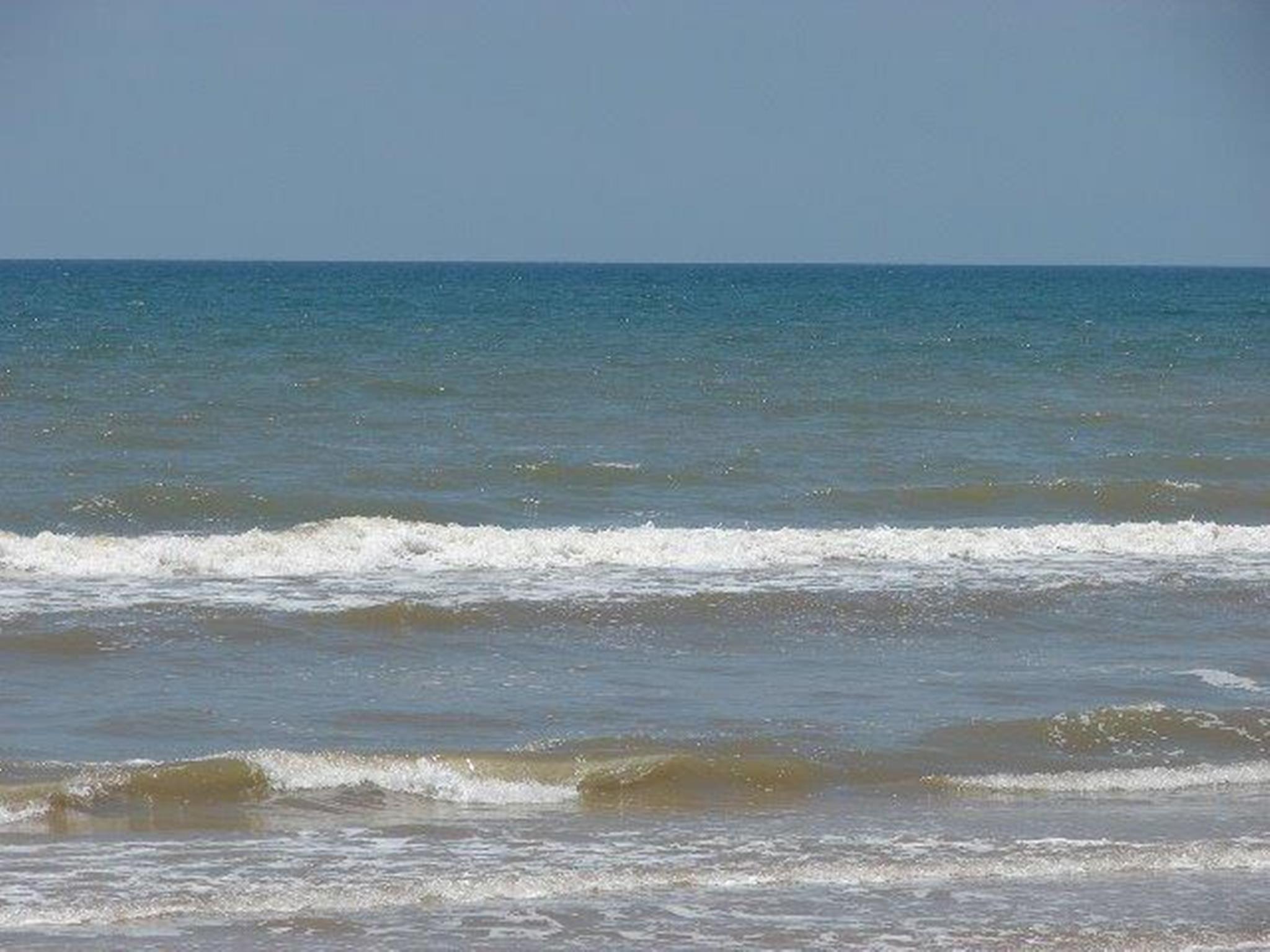 Image 4: Take the time to enjoy the Gulf