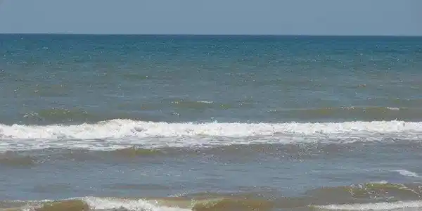 Image 4: Take the time to enjoy the Gulf