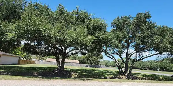Image 2: Corner view of lot showing beautiful established t