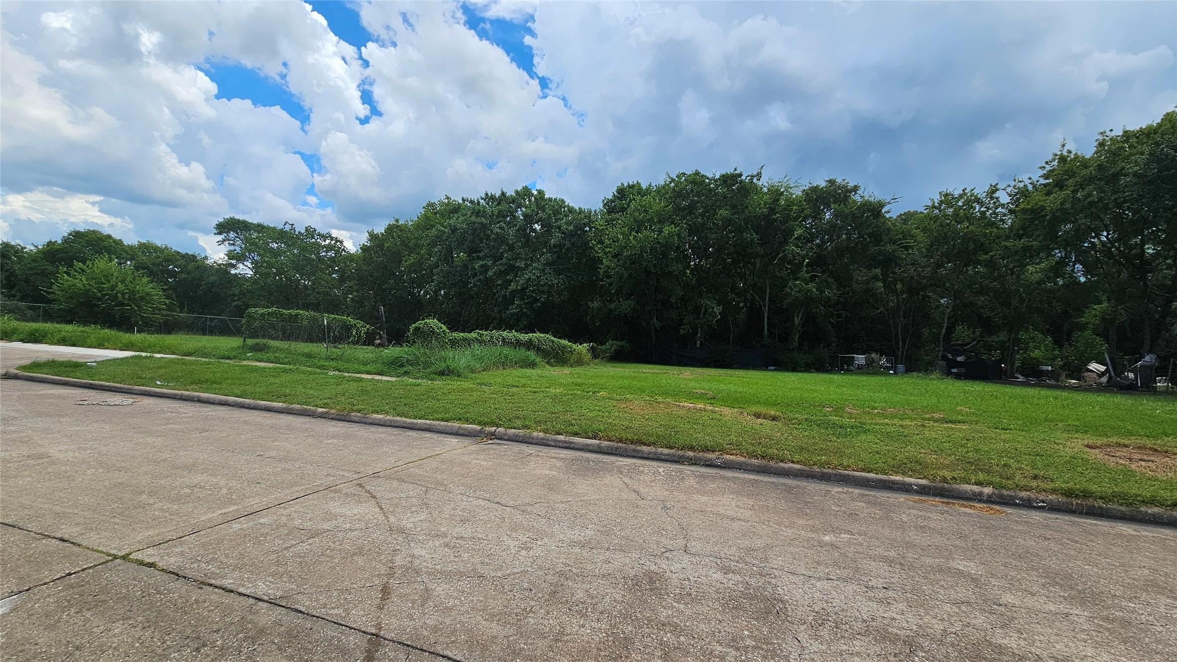Image 4: Spacious lot with lush greenery and mature trees,