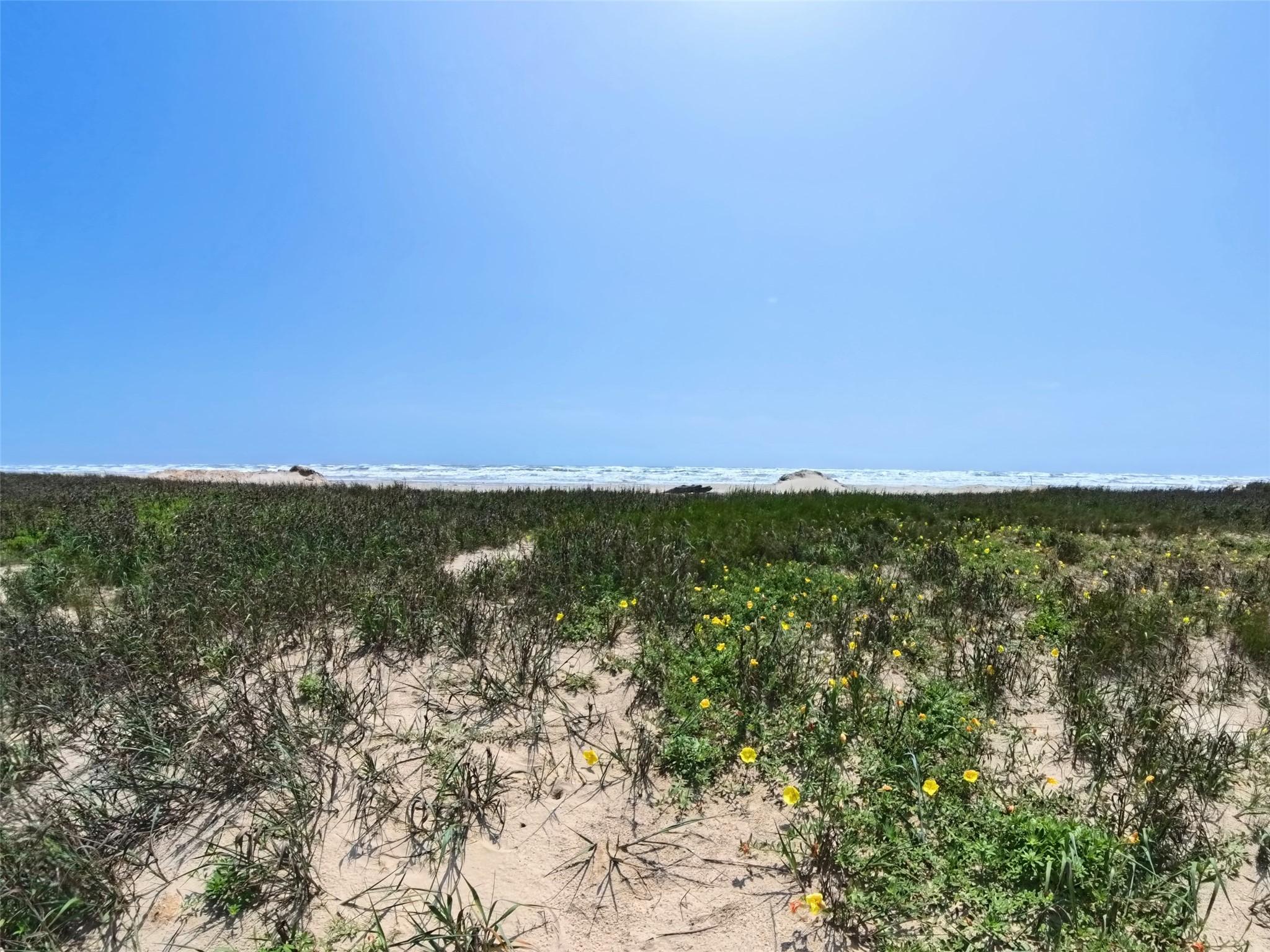 Image 4: 7910 Bluewater Wide Beachfront Lot