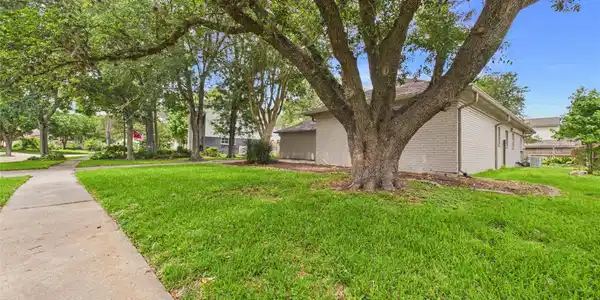 Image 2: Large, mature oak tree.  Great for a swing.