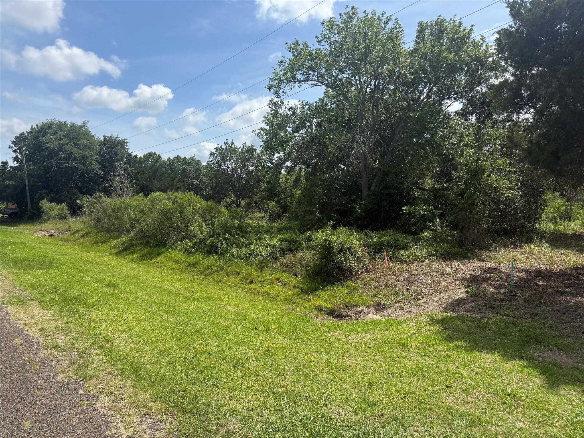 Image 3: Looking front south