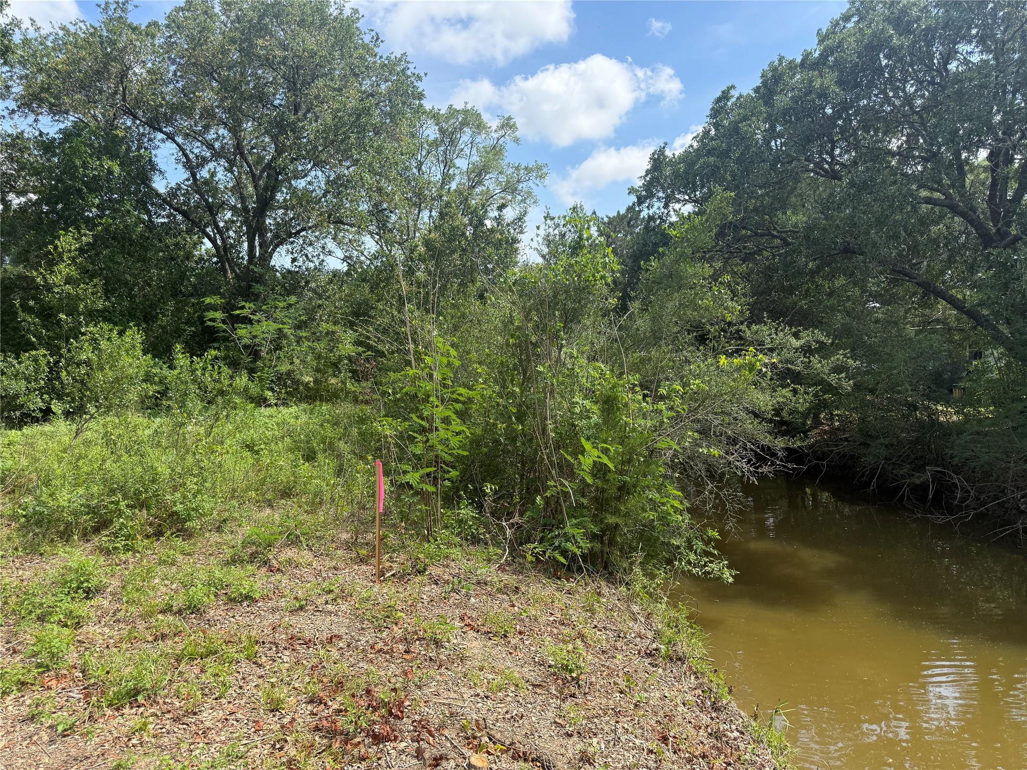 Image 4: Back of property