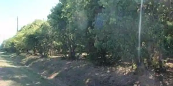 LOT 3 OR 8 Duncan Drive