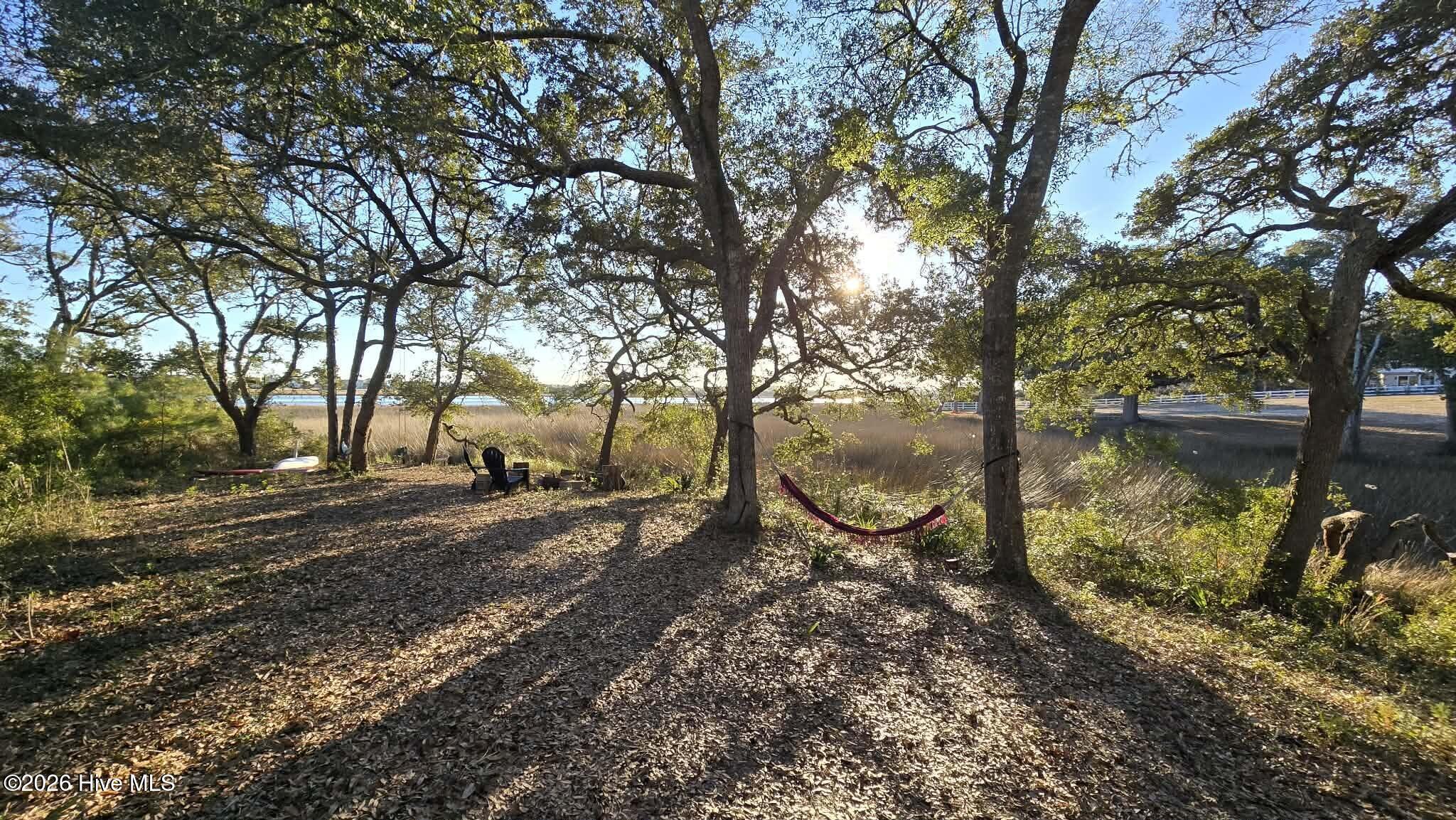Image 4: Deeded land to the IntraCoastal Waterway