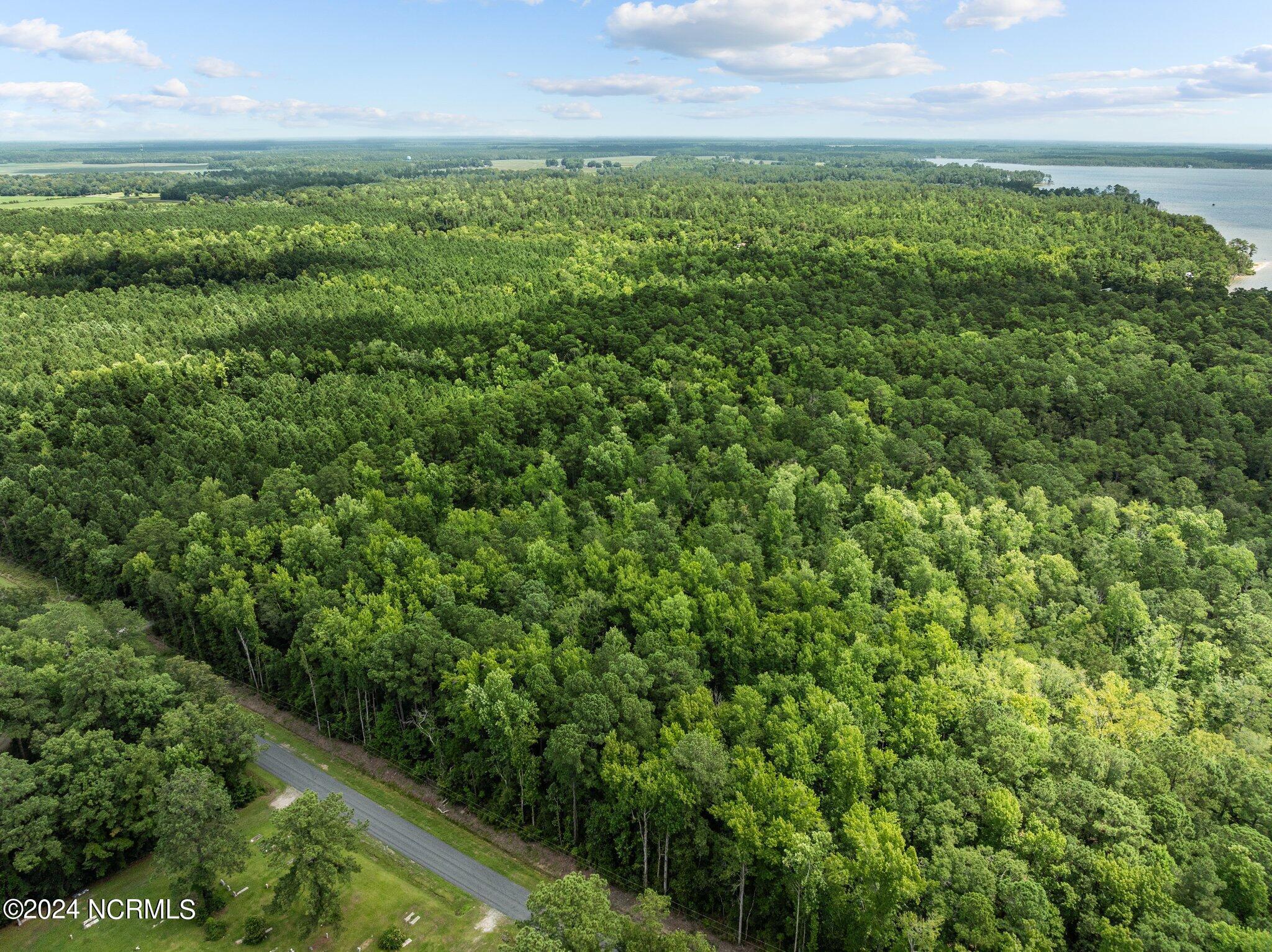Image 3: 9-web-or-mls-DJI_0356