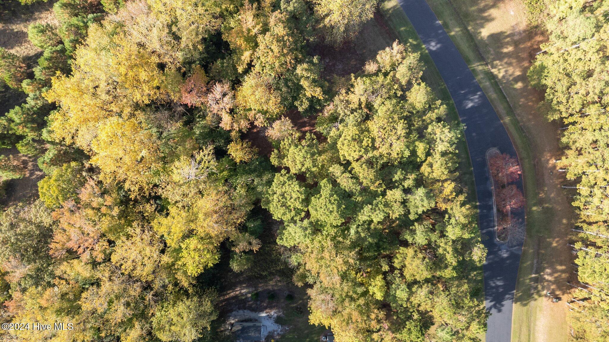 Image 3: 96 Highland Avenue