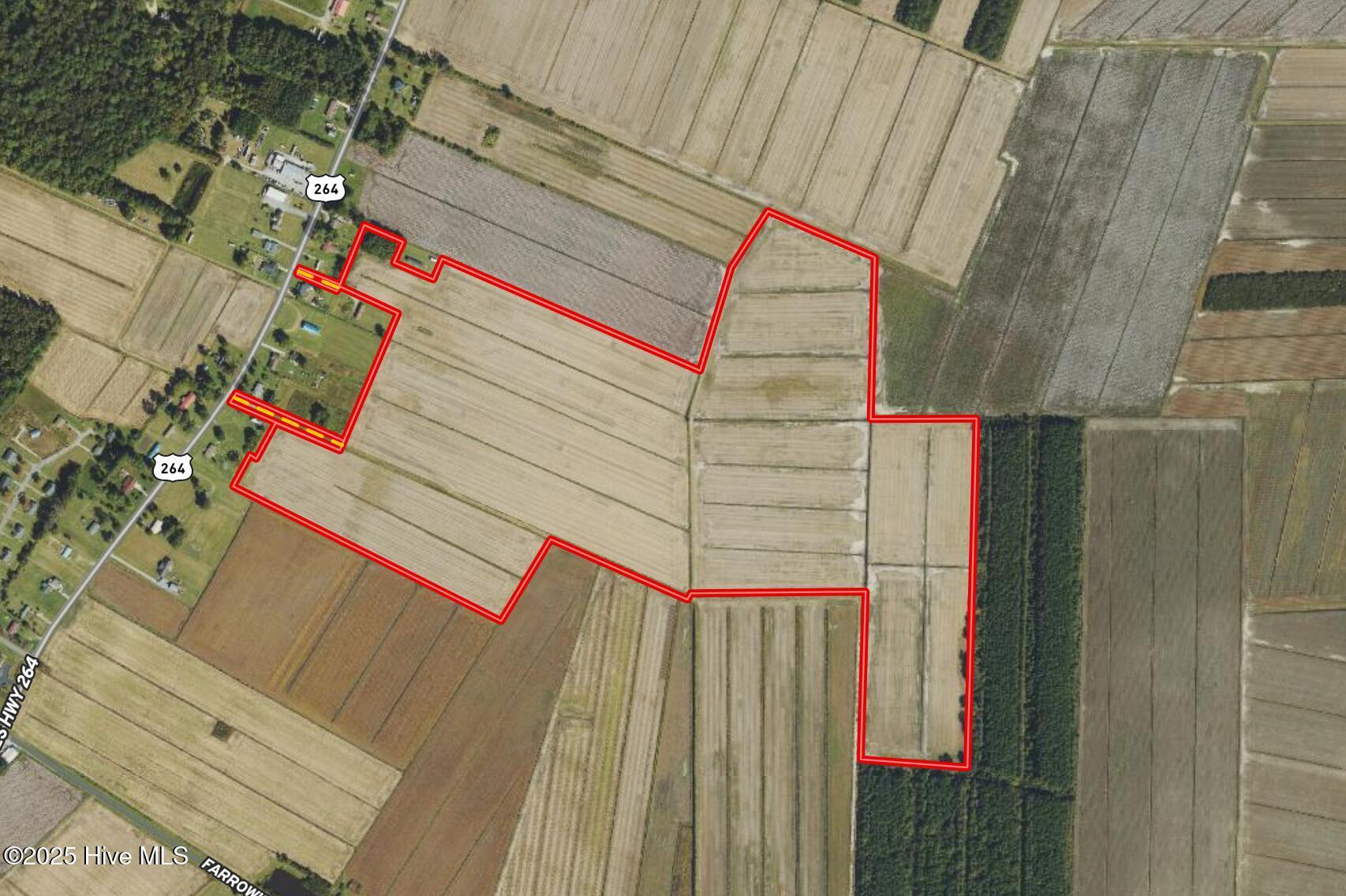 Image 4: Screen Shot 2025-02-27 at 11.14.29 AM