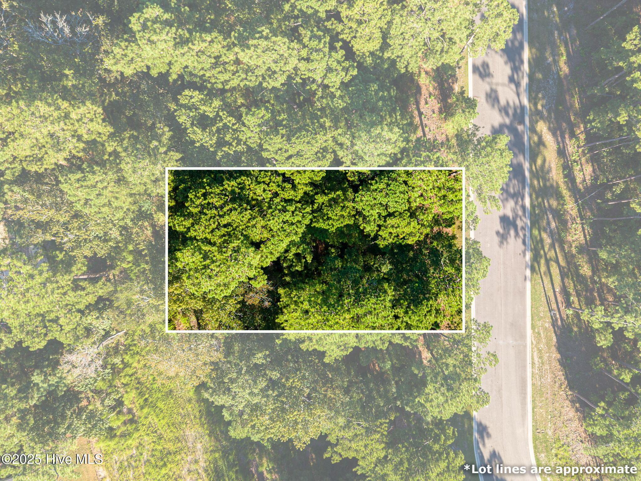 Image 4: 2-web-or-mls-CAMMediaLLC.com 6092-2