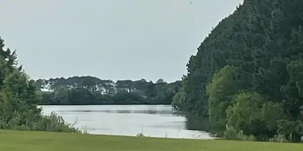 197 Blue Heron Boulevard