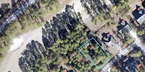 2035 Royal Pines Drive