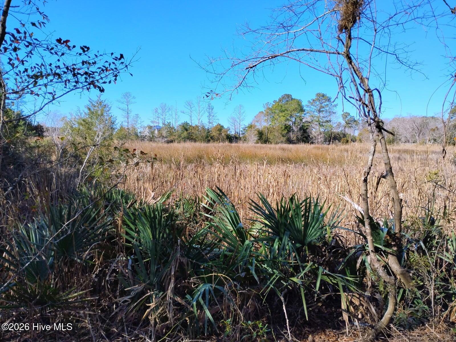 Image 1: Incredible creek views & access