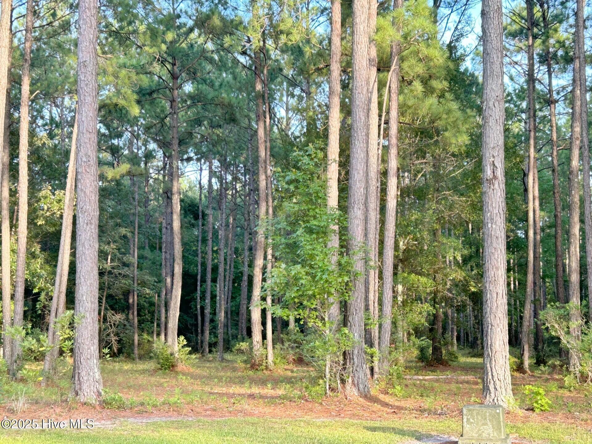 Image 4: lot 132 pic