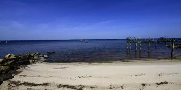 Image 4: 228 Drake Landing, New Bern