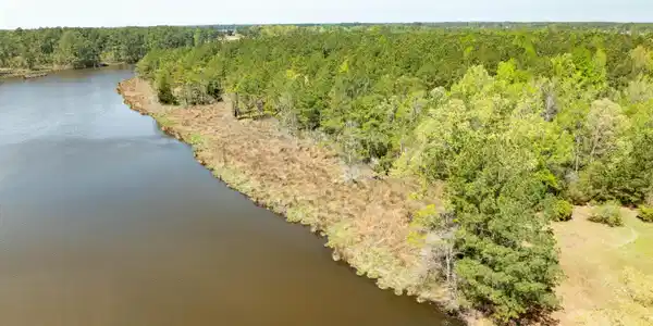 Image 4: DJI_0798