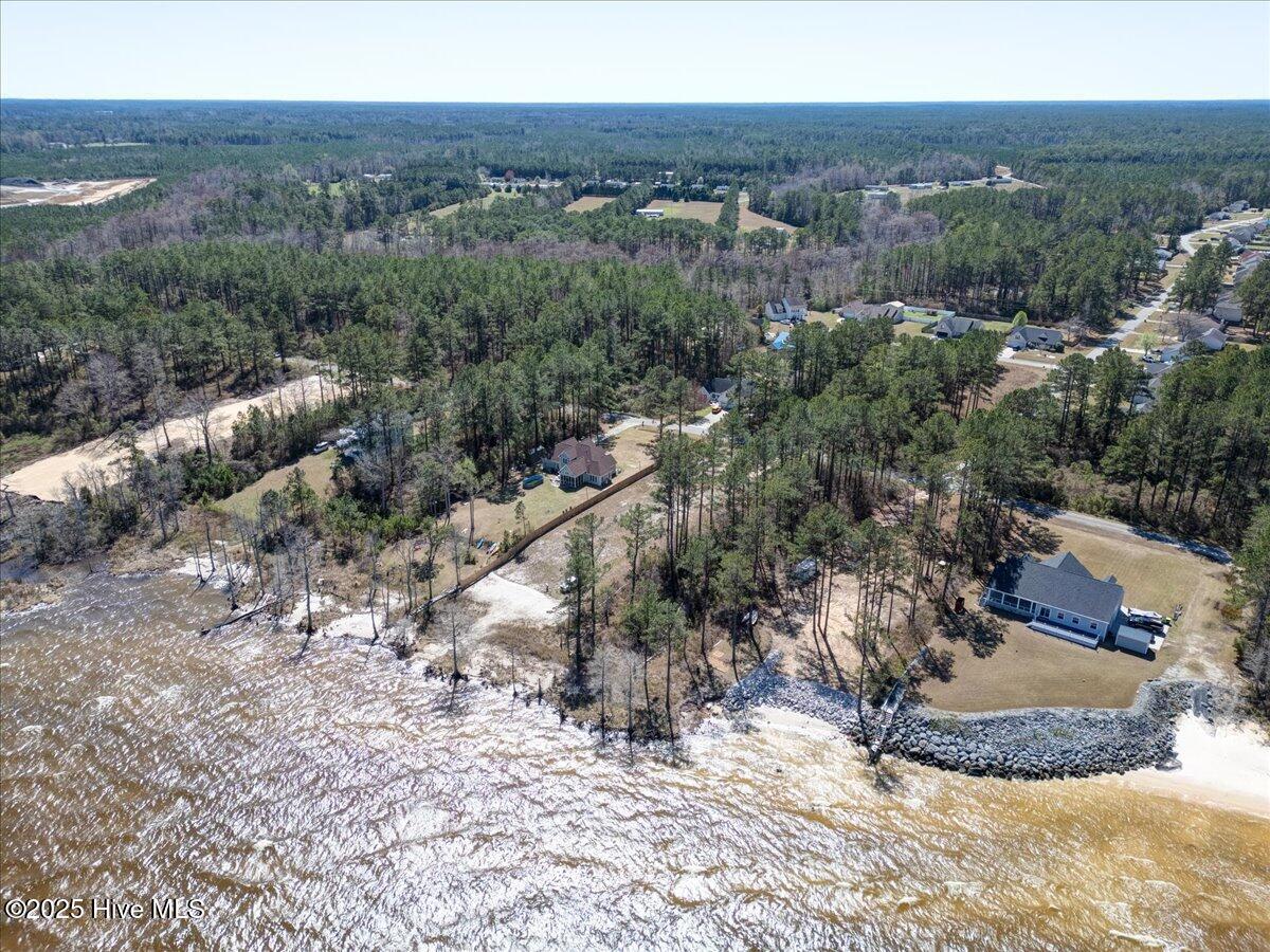 Image 1: 61-101_Palm_Circle-61