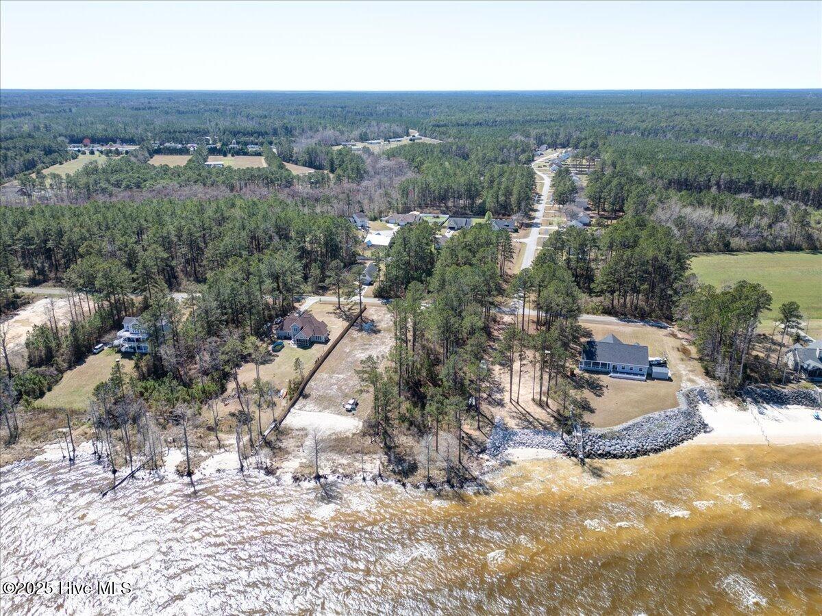 Image 2: 59-101_Palm_Circle-59