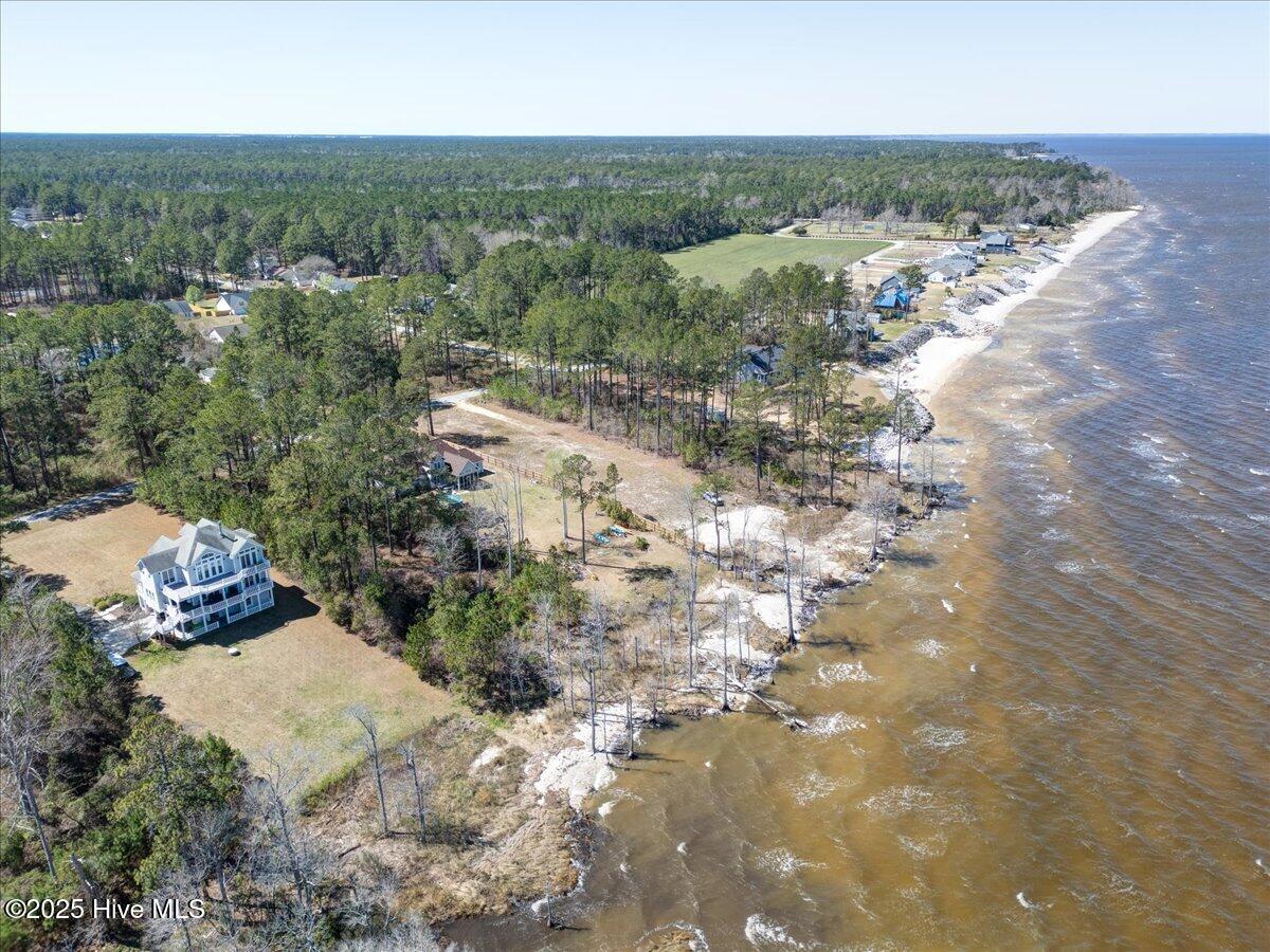 Image 3: 58-101_Palm_Circle-58