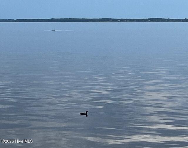 Image 4: IMG_8908