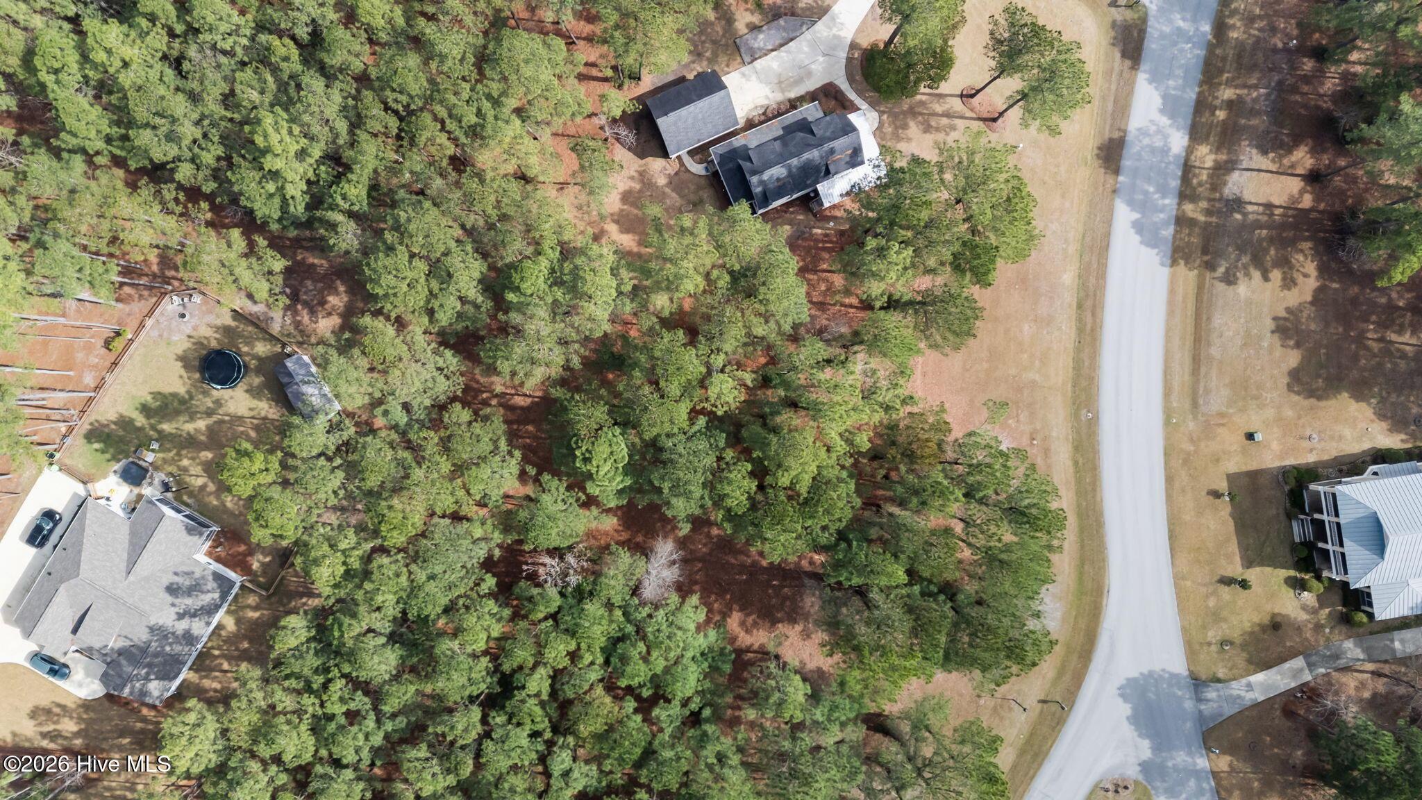 Image 2: Lot 33