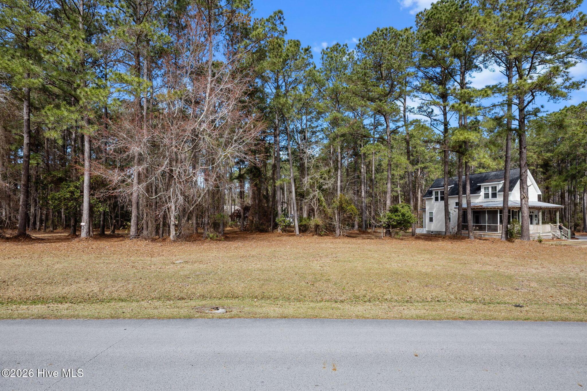 Image 3: Lot 33