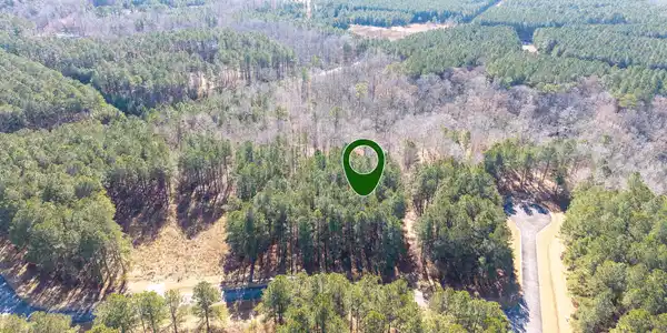 Image 3: 404 Plumtree Cir-01
