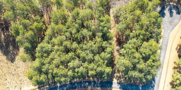 Image 4: 404 Plumtree Cir-05