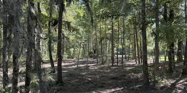 Image 3: IMG_0077
