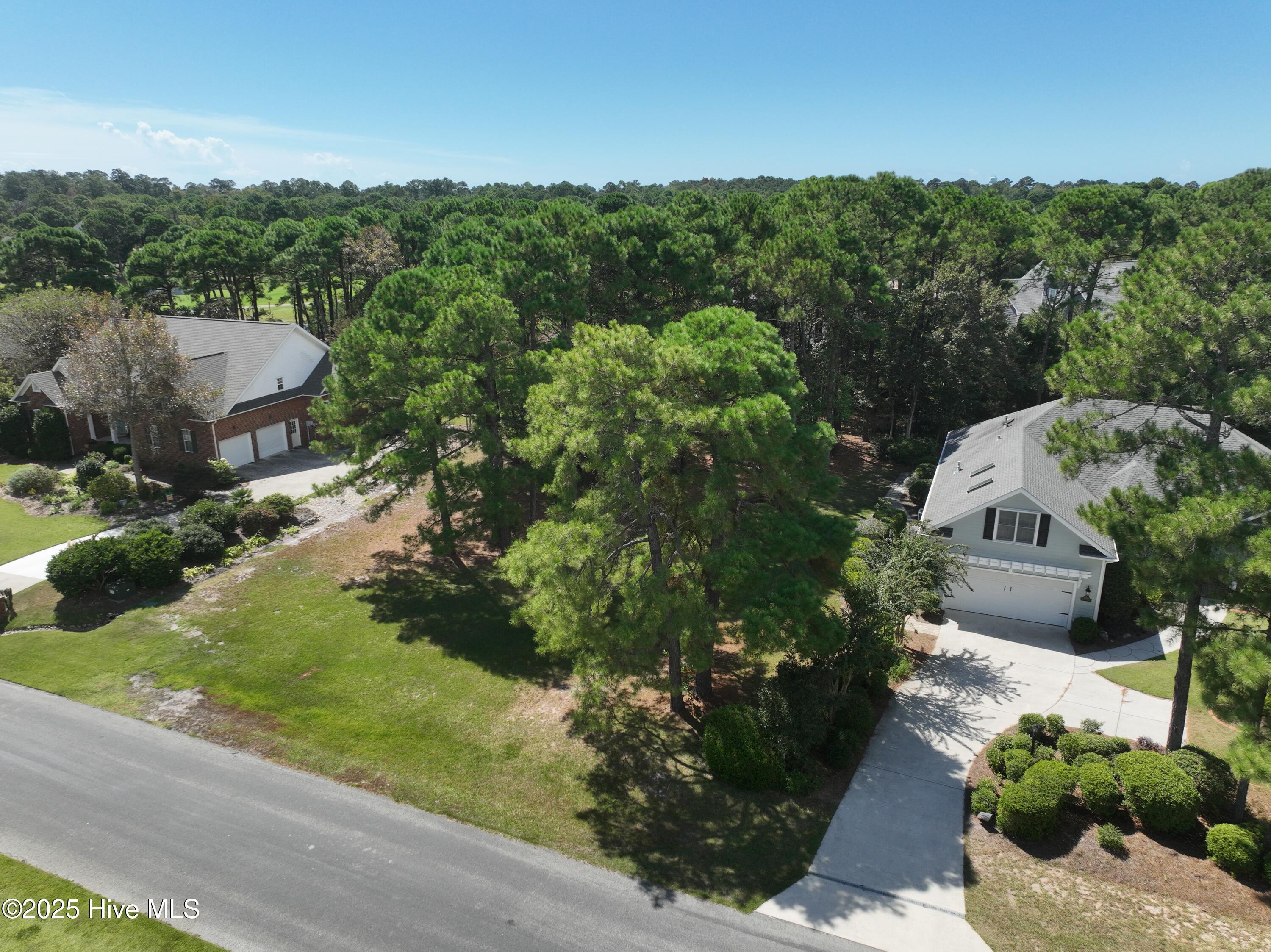 Image 4: DJI_0337