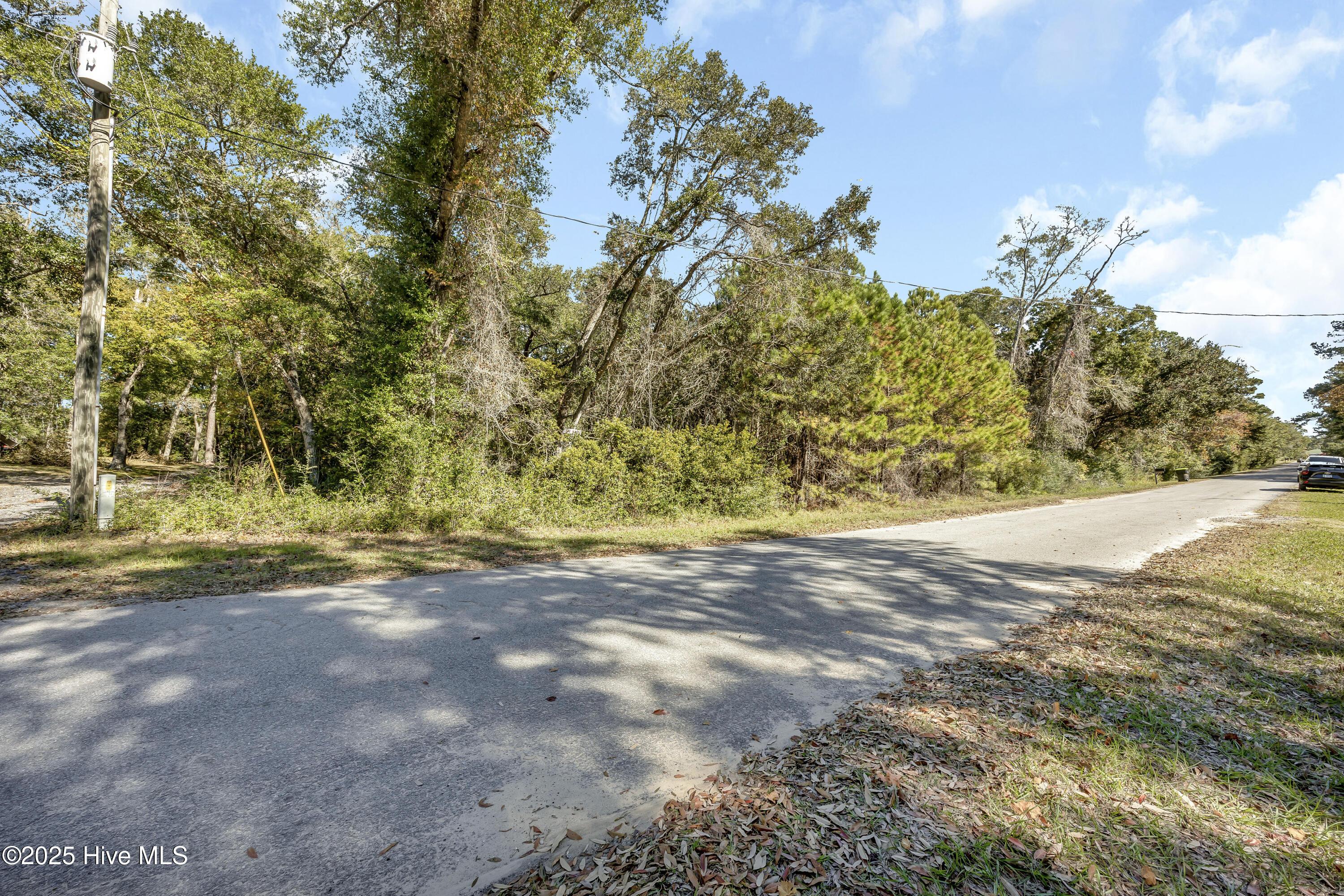 Image 4: 002_img_1071_499