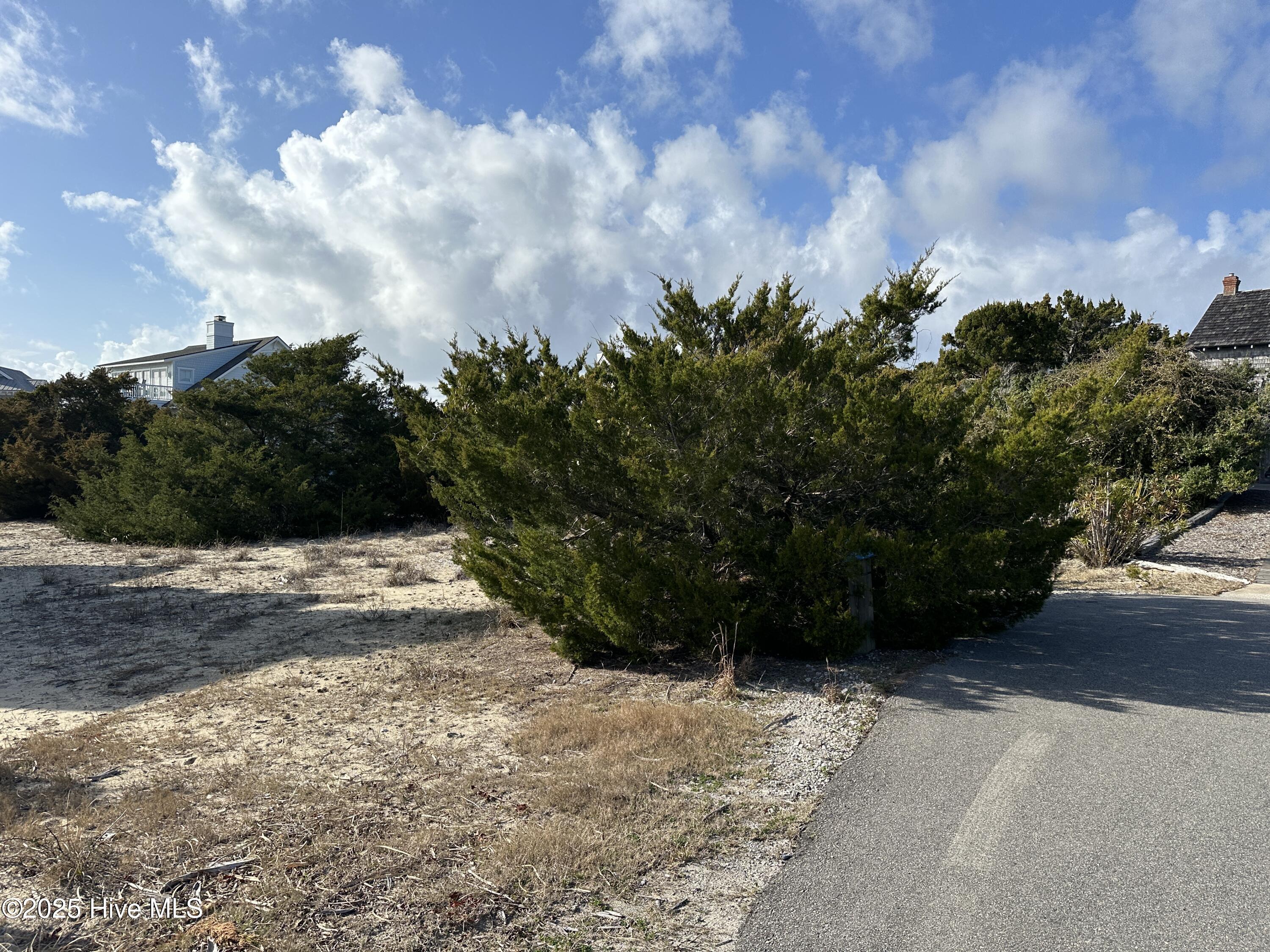 Image 2: IMG_5958